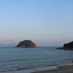 活动模块 
