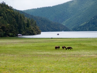 八月香格里拉旅游_旅游去香格里拉报价_过年去香格里拉旅游
