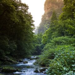 景点模块 
