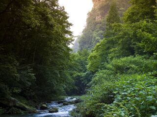 湖南張家界旅游團(tuán)報(bào)價(jià)2021_去湖南張家界游要多少錢_到湖南張家界旅游