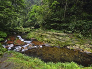 現(xiàn)在到張家界長(zhǎng)沙旅游多少錢_張家界長(zhǎng)沙特價(jià)旅游團(tuán)報(bào)價(jià)_張家界長(zhǎng)沙旅游報(bào)團(tuán)價(jià)格