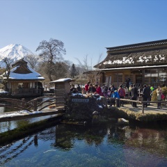 景点模块 