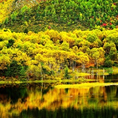 属都湖 景点模块