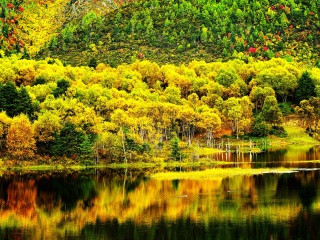 云南瀘沽湖旅游團(tuán)報(bào)價(jià)_跟團(tuán)云南瀘沽湖旅游價(jià)格表_云南瀘沽湖自由游價(jià)格多少