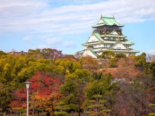 组团去日本旅游_深圳包团日本旅游_日本旅游的报价