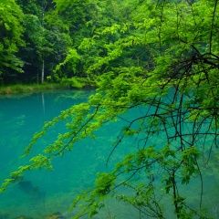 景点模块 
