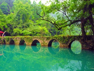 報團(tuán)去貴州黃果樹瀑布多少錢_貴州黃果樹瀑布跟團(tuán)還是自由行_貴州黃果樹瀑布游 旅行團(tuán)