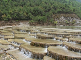 西双版纳旅游团旅游_西双版纳六日跟团旅游_过年去西双版纳旅游