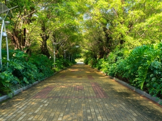 双人南宁-越南-下龙湾旅游多少钱_去趟南宁-越南-下龙湾旅游多少钱_南宁-越南-下龙湾旅游11日游