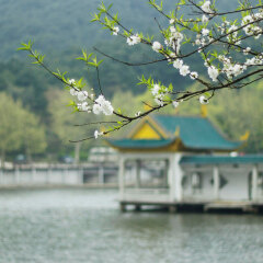小交通模块 