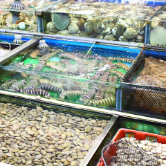 餐饮模块 