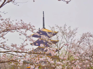 2023去日本旅游团报价_日本旅游预定_深圳包团日本旅游价格