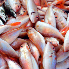 泰国班赞市场 景点模块