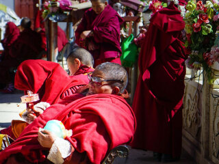 成都游花多少錢_現(xiàn)在去成都旅游多少錢_去成都旅游要多少錢