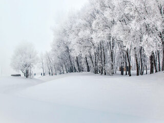 去亞布力滑雪旅游要多少錢_亞布力滑雪旅游價格_亞布力滑雪旅游需要多少錢