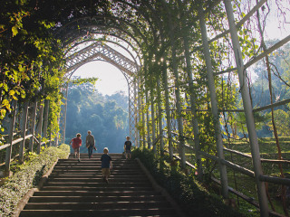 泰國清邁跟團還是自由行_去泰國清邁旅游要多少錢_2021年泰國清邁旅游團報價