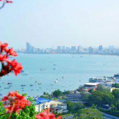 活动模块 