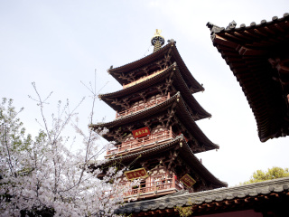 华东游跟团_华东旅游团报价_跟团游华东旅游