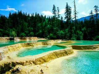 四川九寨溝跟團游與自由行_四川九寨溝旅行團自由行_四川九寨溝旅行跟團
