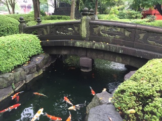2023去日本旅游团报价_日本旅游预定_深圳包团日本旅游价格