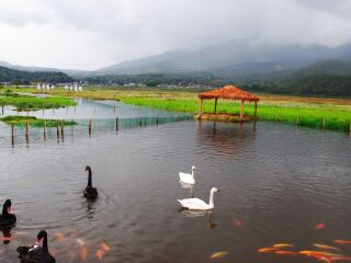 广州到腾冲旅游_东莞到腾冲游_参加腾冲旅游团