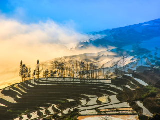 云南旅游的價格_云南旅游高端團_云南十一日游旅游團
