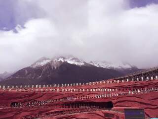 報團去云南麗江多少錢_2021去云南麗江旅游團報價_云南麗江自由行組團
