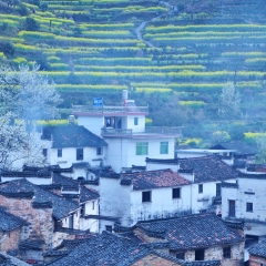 景点模块 