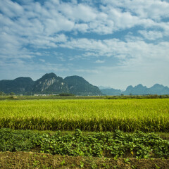 景点模块 