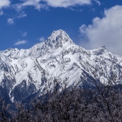 景点模块 