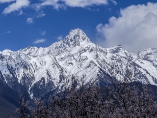 西藏跟團還是自由行_到西藏旅游報團價格_西藏旅游花費一般多少