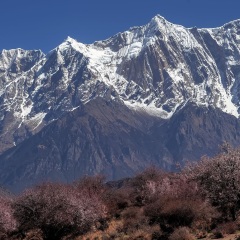 景点模块 
