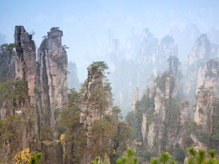 预定张家界旅游_张家界5日旅游团_以往国庆张家界游价格