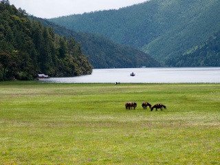 八月香格里拉旅游_旅游去香格里拉报价_过年去香格里拉旅游