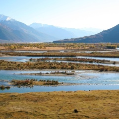 景点模块 