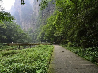 到湖南張家界旅游多少錢(qián)_湖南張家界旅游跟團(tuán)需多少錢(qián)_湖南張家界旅游團(tuán)