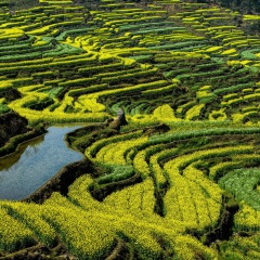 景点模块 