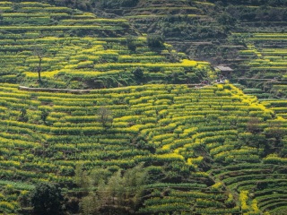 旅游團廬山_廬山私人定制旅游_廬山報團旅游多少錢