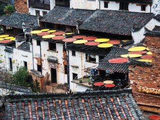 怎么去江西廬山旅游_到江西廬山旅游多少錢_江西廬山報團多少錢