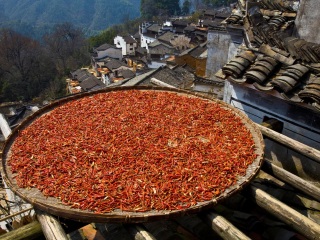 婺源廬山旅游報(bào)團(tuán)價(jià)格_現(xiàn)在到婺源廬山旅游多少錢_婺源廬山旅行團(tuán)旅游報(bào)價(jià)