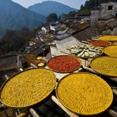 景点模块 
