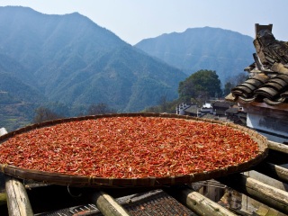 婺源廬山旅游最佳路線_婺源廬山游組團(tuán)_婺源廬山組團(tuán)旅游