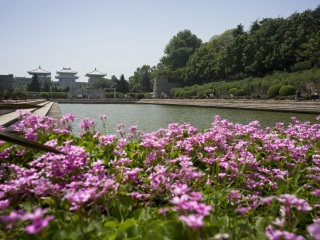 華東自由行組團(tuán)_華東旅游跟團(tuán)多少錢_暑假華東游價(jià)格