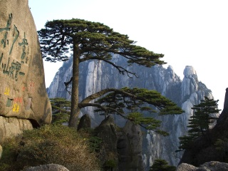 黃山旅游團(tuán)_去黃山游怎么省錢_到黃山旅游多少錢