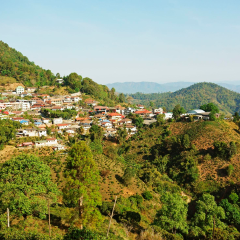 景点模块 