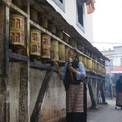 活动模块 