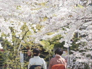 2023去日本旅游团报价_日本旅游预定_深圳包团日本旅游价格