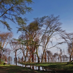 景点模块 