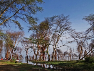 肯尼亞自由行旅游團_特價肯尼亞游_到肯尼亞旅游多少錢