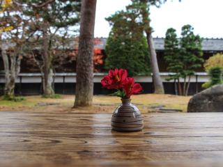 国旅日本游报价_日本新加坡旅游_日本参团旅游